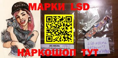 шишки Кимры