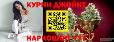 гашик Кинель