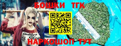 гашик Кинель