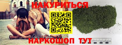 шишки Кимры