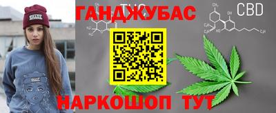 шишки Кимры