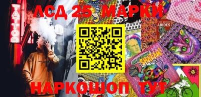 шишки Кимры