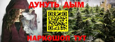 шишки Кимры
