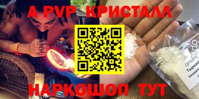шишки Кимры