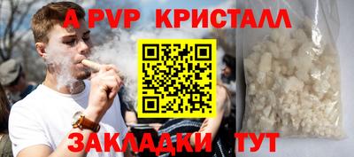 шишки Кимры