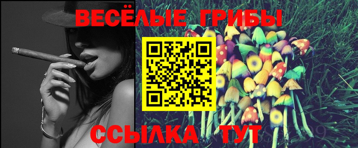 как найти наркотики  Вход с VPN  Владикавказ  Галлюциногенные грибы GOLDEN TEACHER 